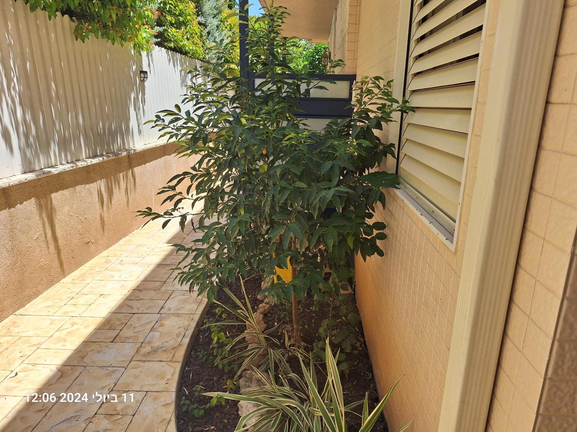 הבית הירוק Hotel คาร์มีล ภายนอก รูปภาพ